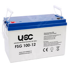 Аккумуляторы FSG 100-12